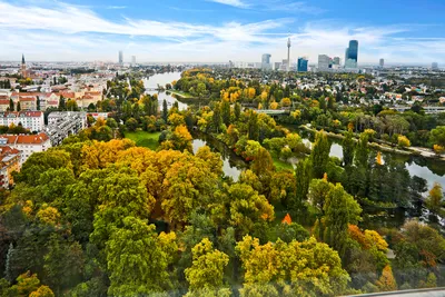 Gewerbeimmobilie mieten in Wien – 779 m², € 11 – Bild 6 von 28