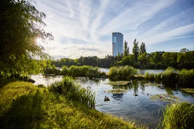 Gewerbeimmobilie mieten in Wien – 779 m², € 11 – Bild 3 von 28