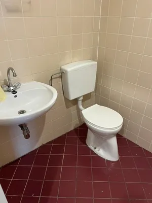 1-Zimmer-Wohnung mieten in Wien – 31 m², € 390 – Bild 9 von 10