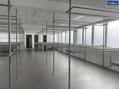 Gewerbeimmobilie mieten in Wien – 298 m², € 3.202 – Bild 3 von 5
