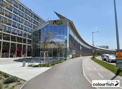 Gewerbeimmobilie mieten in Wien – 671 m² – Bild 12 von 13