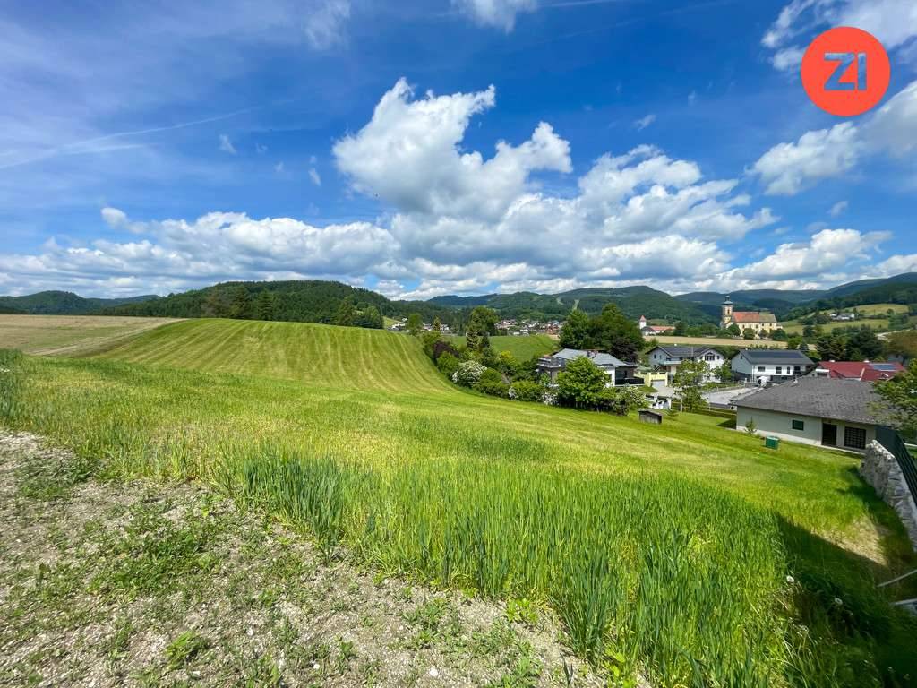 !Bauträger aufgepasst! Grundstück mit Potential "Marktblick" in Waldhausen im Strudengau - Ansicht 3