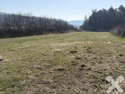Grundstück kaufen in Südoststeiermark – 3 688 m², € 240.000 – Bild 7 von 11