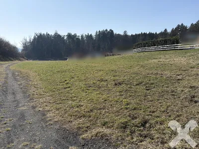 Grundstück kaufen in Südoststeiermark – 3 688 m², € 240.000 – Bild 11 von 11