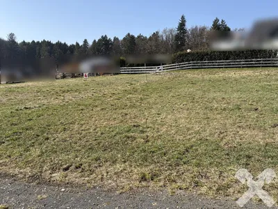 Grundstück kaufen in Südoststeiermark – 3 688 m², € 240.000 – Bild 8 von 11