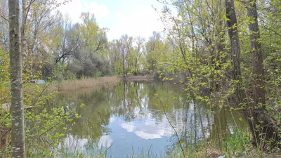 Grundstück kaufen in Neusiedl am See – 3 000 m², € 110.000 – Bild 1 von 8