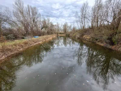 Grundstück kaufen in Neusiedl am See – 3 000 m², € 110.000 – Bild 5 von 8