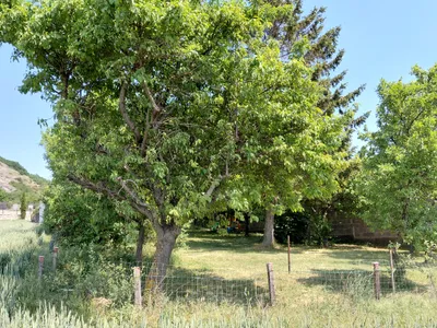 Grundstück kaufen in Bruck an der Leitha – 900 m², € 232.000 – Bild 4 von 9