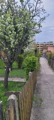 Grundstück kaufen in Wien – 375 m², € 468.000 – Bild 4 von 10