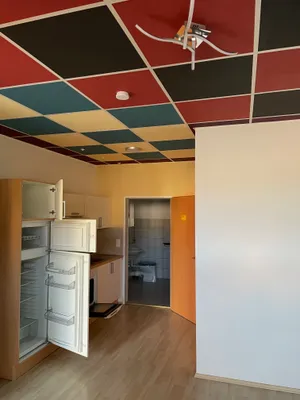 1-Zimmer-Wohnung mieten in Südoststeiermark – 27 m², € 295