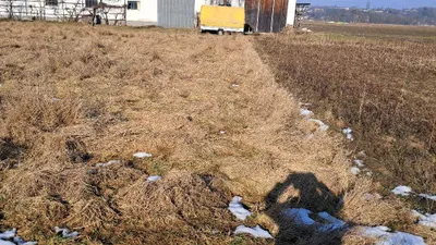 Grundstück kaufen in Amstetten – 2 283 m², € 319.000 – Bild 7 von 7