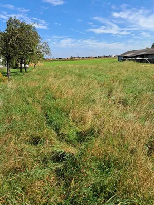 Grundstück kaufen in Amstetten – 2 283 m², € 319.000 – Bild 1 von 7