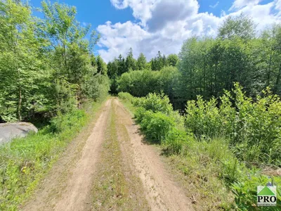 Grundstück kaufen in Gmünd – 251 286 m² – Bild 2 von 12