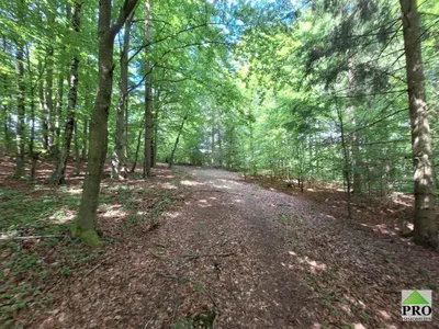 Grundstück kaufen in Gmünd – 251 286 m² – Bild 8 von 12