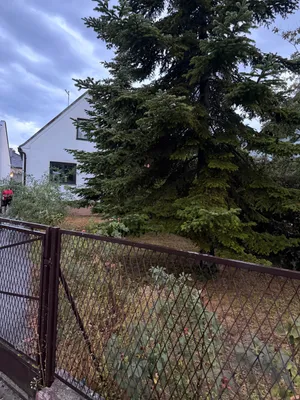 Haus kaufen in Eisenstadt - Umgebung – 90 m², € 235.000 – Bild 3 von 15