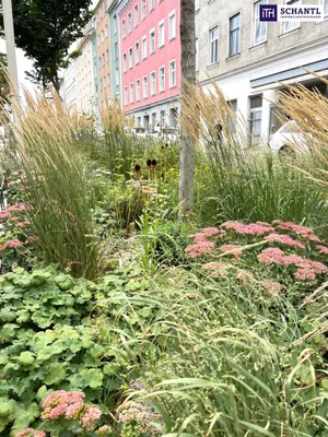 2-Zimmer-Wohnung kaufen in Wien – 51,45 m², € 249.000 – Bild 16 von 17