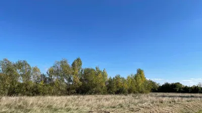 Immobilie kaufen in Österreich – 51 000 m², € 450.000 – Bild 4 von 17
