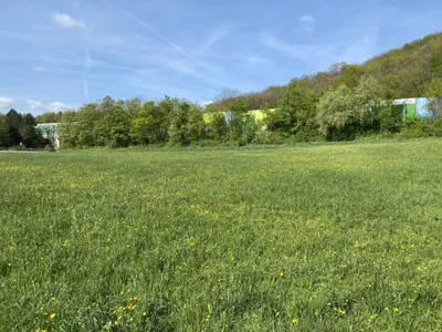 Grundstück kaufen in Mödling – 4 267 m², € 375.000 – Bild 2 von 3
