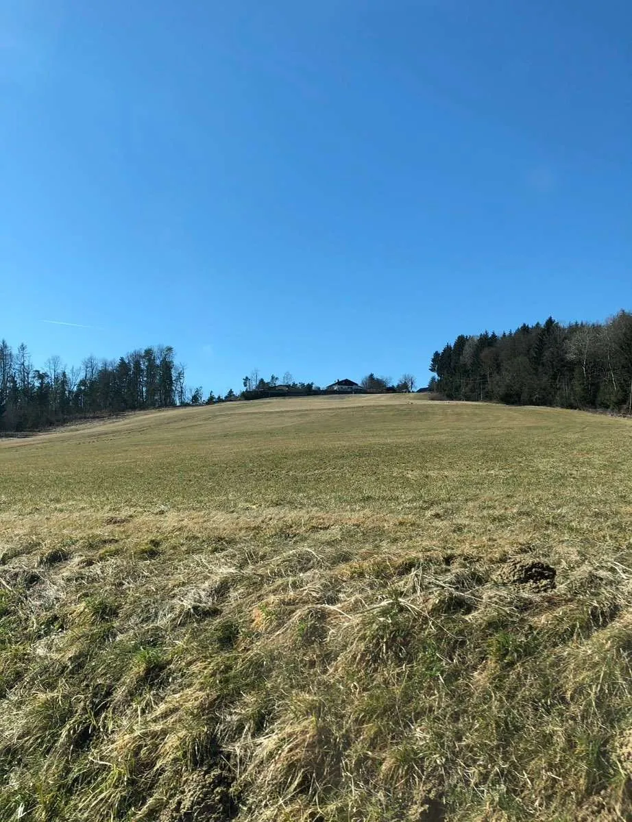 Schönes, sonniges Grundstück in ruhiger Lage - Widok 3