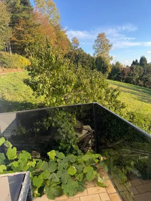 Haus mieten in Rohrbach – 120 m², € 1.280 – Bild 8 von 22