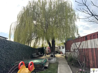 Immobilie kaufen in Bruck an der Leitha – 1 113 m², € 1.299.000 – Bild 8 von 40