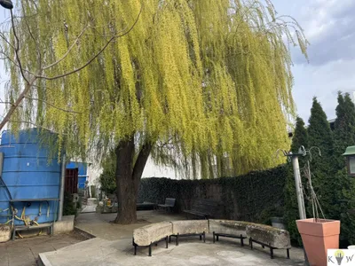 Immobilie kaufen in Bruck an der Leitha – 1 113 m², € 1.299.000 – Bild 7 von 40