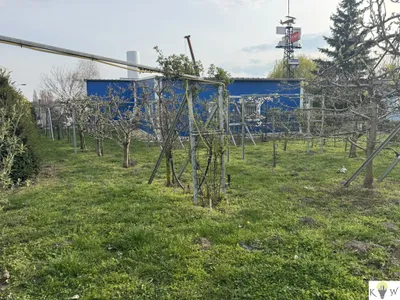 Immobilie kaufen in Bruck an der Leitha – 1 113 m², € 1.299.000 – Bild 32 von 40