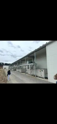 Gewerbeimmobilie kaufen in Südoststeiermark – 900 m², € 95.000 – Bild 4 von 8