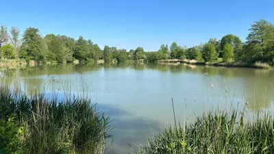 Immobilie mieten in Wiener Neustadt – 40 000 m², € 950 – Bild 3 von 4