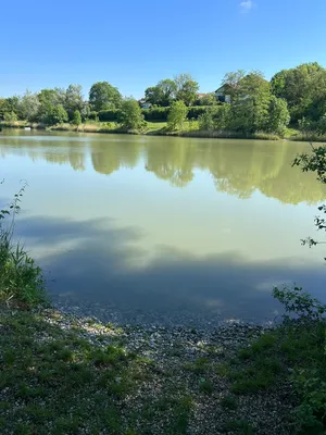 Immobilie mieten in Wiener Neustadt – 40 000 m², € 950 – Bild 2 von 4