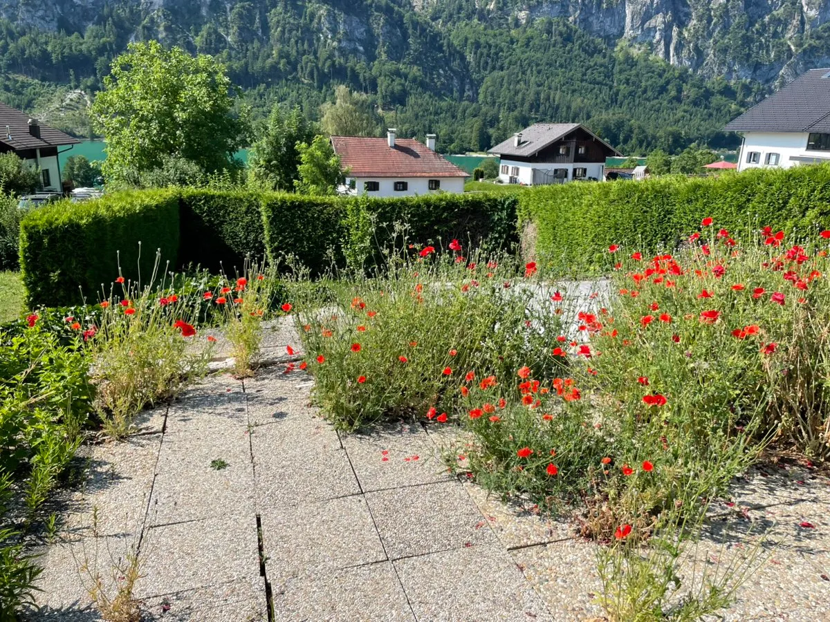 CAMPINGSTELLPLATZ am MONDSEE – pohled 2