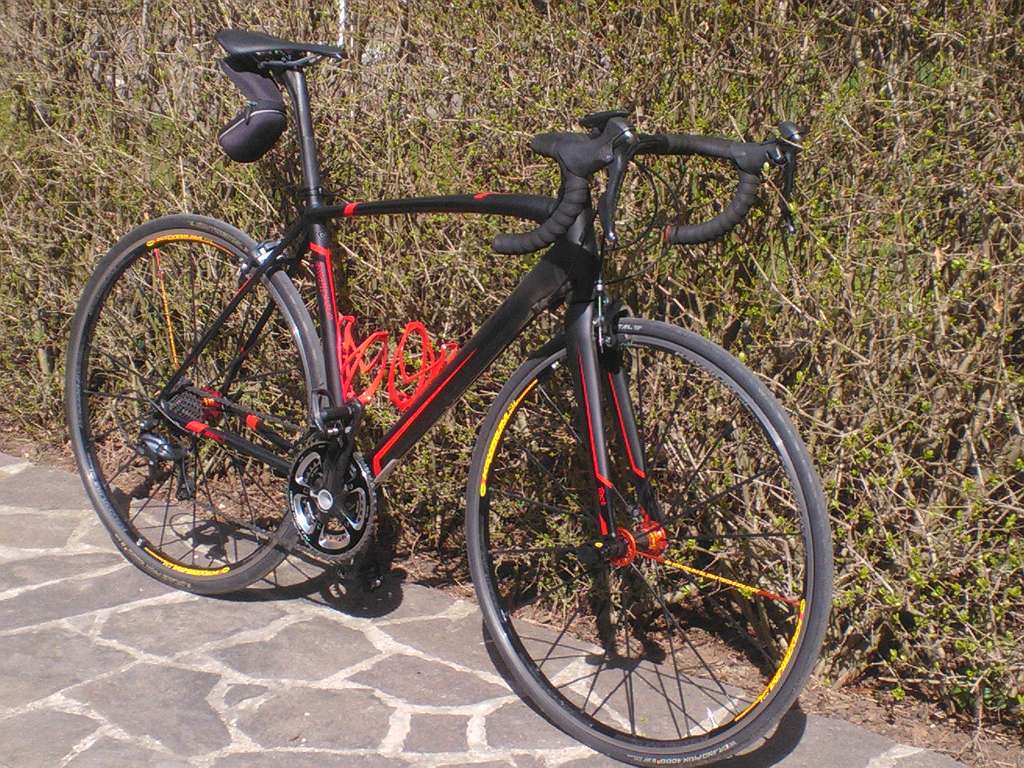 Specialized Allez Expert Gr. 56 848 48 2273 Hohenau an der March willhaben