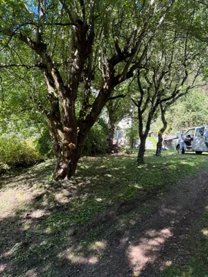 5-Zimmer-Gewerbeimmobilie kaufen in Wolfsberg – 146 m², € 195.000 – Bild 12 von 12