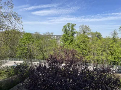 Generalsanierte 2-Zimmer-Wohnung in Ruhelage mit Grünblick – Bild 2