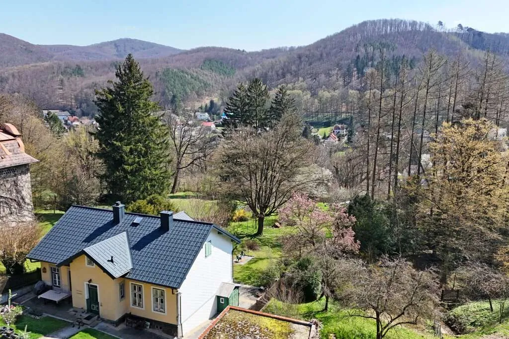Wienerwaldvilla auf riesigem Grundstück in traumhafter Südlage am Sagberg - Widok 3