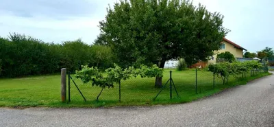 Grundstück kaufen in Wels-Land – 1 010 m², € 340.000 – Bild 3 von 7