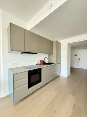 High-End Living in den DANUBE FLATS - 3 Zimmer mit Traumbalkon & Fernblick – Bild 2