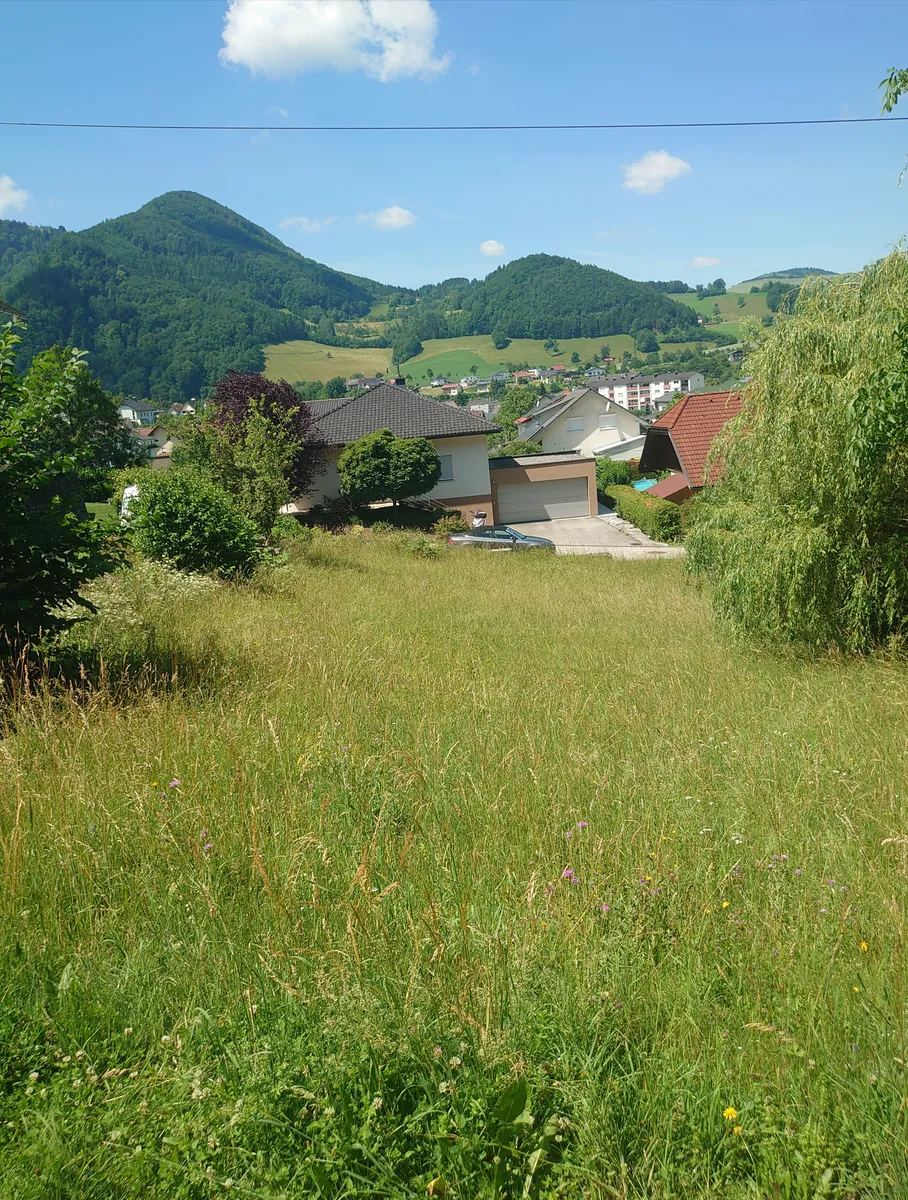 WALDRAND RUHELAGE KEIN BAUZWANG - Ansicht 2