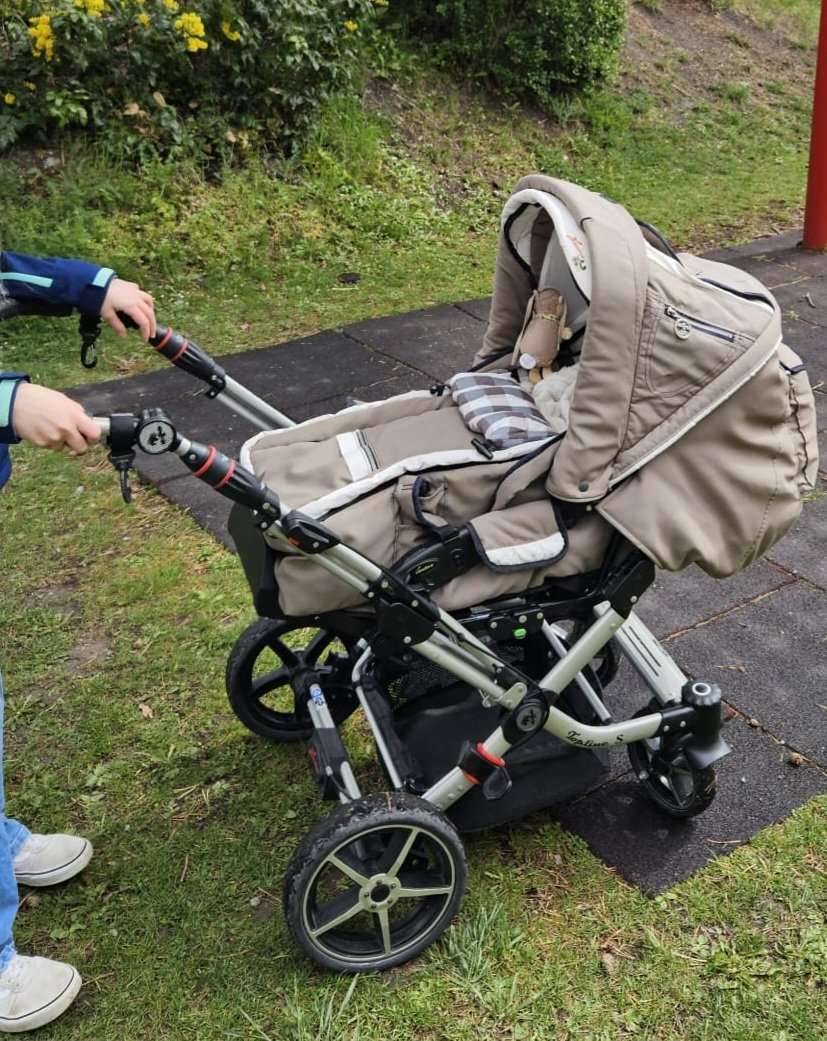 dünger für trauben Weinreben Dünger von Flora Boost – Für gesundes Wachstum und kräftige  Trauben