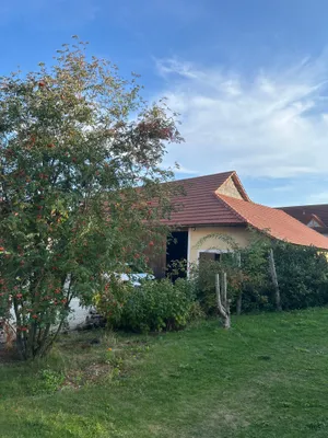 3-Zimmer-Immobilie mieten in Sankt Pölten Land – 90 m², € 850 – Bild 30 von 31