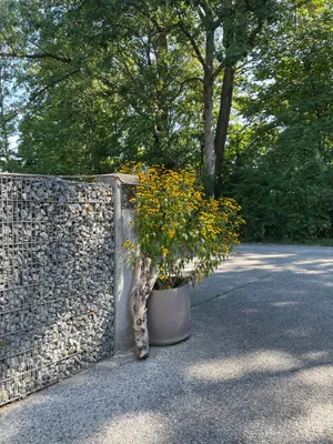Gewerbeimmobilie mieten in Salzburg Stadt – 32 m², € 115 – Bild 5 von 6