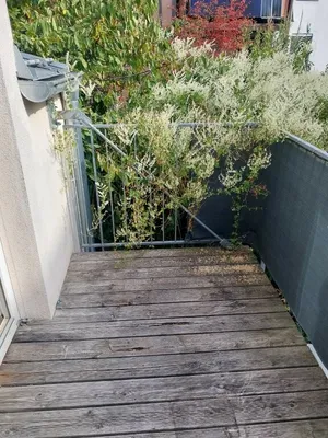 3-Zimmer-Wohnung mieten in Graz – 68,51 m², € 862 – Bild 3 von 9