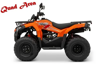 Loncin XWolf 200 das neue Einsteigermodell für jede Altersgr...
