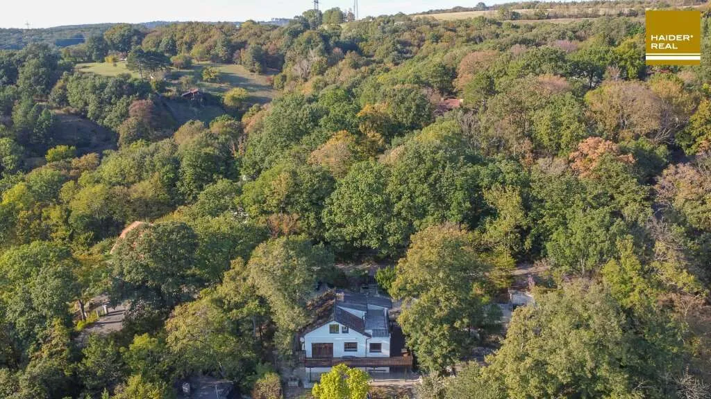 Paradiesisch! Fernblick, Südausrichtung, sonnig! - Ansicht 2
