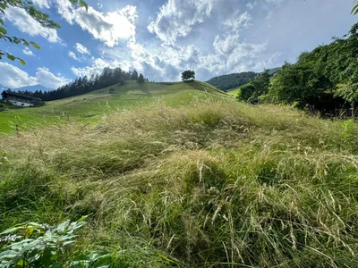 6-Zimmer-Immobilie kaufen in Innsbruck-Land – 150 m², € 688.000 – Bild 5 von 19