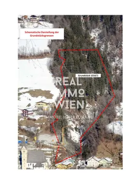 Grundstück kaufen in Zell am See – 13 141 m², € 298.000 – Bild 8 von 8