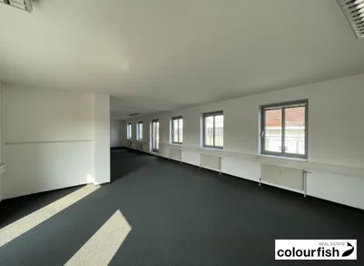 Gewerbeimmobilie mieten in Wien – 190 m², € 3.763 – Bild 4 von 5