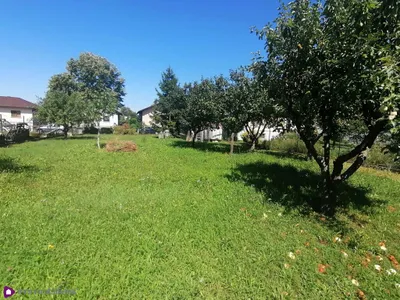 Grundstück zum Kauf in 2232 Gänserndorf