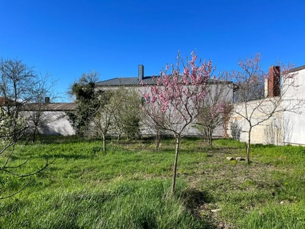 NATURNAH RUHIGE ANWOHNERSTRASSE – pohled 3