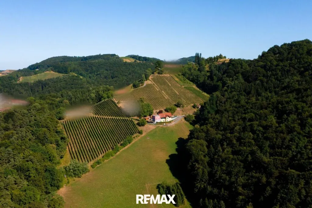 "Aussichtslage der Extraklasse - Südsteiermark" - Widok 3